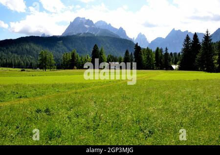 Vast green meadows in the town of Moso with the peaks of the Val Fiscalina in the background Stock Photo