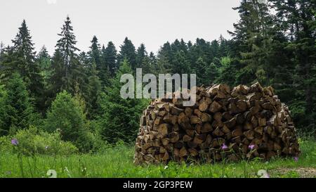 Pile of wood chopped. Stocks of wooden logs in the garden with trees Stock Photo