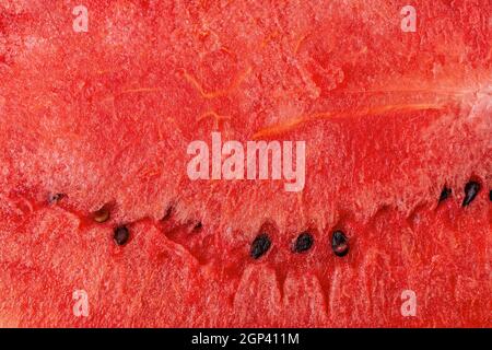 Sweet juicy watermelon macro background. Close-up of freshly cut red ripe watermelon with dark seeds. Texture of delicious organic water melon pulp. Stock Photo