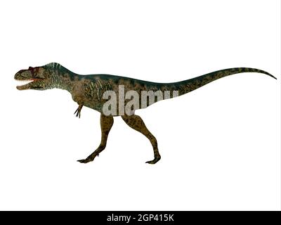 Albertosaurus was a theropod carnivorous dinosaur that lived in the Cretaceous Period of North America. Stock Photo