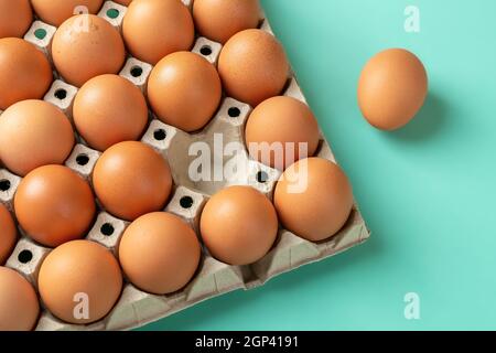 One brown chicken egg taken out from the full cardboard tray over turquoise background. Organic hen eggs with brown shell for protein healthy eating. Stock Photo