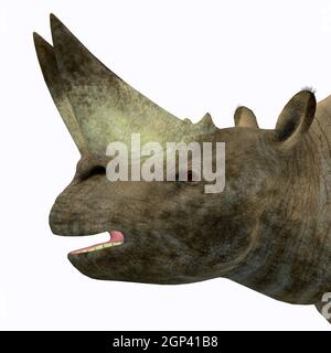 Arsinoitherium was a herbivorous rhinoceros-like mammal that lived in Africa in the Early Oligocene Period. Stock Photo