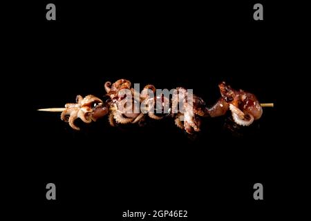Fried octopus slices with soy sauce and beautiful reflection. Several pieces of octopus meat on a stick. Close-up, top view. Stock Photo