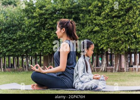 Mother and daughter doing yoga. woman and child training in the park.  outdoor sports. healthy sport lifestyle, chaturanga pose. well being,  mindfulness concept,watching video tutorial online on laptop 8497445 Stock  Photo at