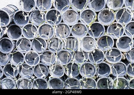 Modern plastic lobster cages stacked up against the wall of a harbour Stock Photo