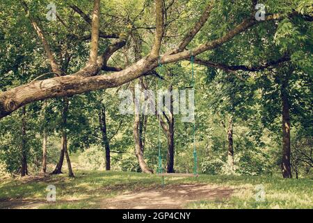 Romantic scene of a single swing hanging from tree branch Stock Photo