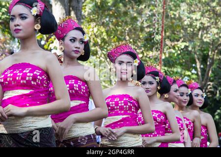 Group Of Beautiful Balinese Women In Costumes - Sarong, Carry Offering ...