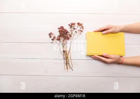 Female hands holding a yellow book. Opened book with white pages. Empty space for text and logo. Registration of postcards, background. Eco-friendly, Stock Photo