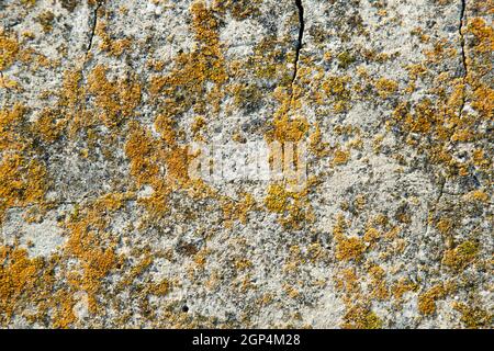 Various textures and textures of stone, concrete and metal. Background for design and decoration of packaging, creativity, splash, design. Cracked wal Stock Photo
