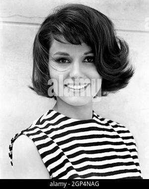 Paula Prentiss Paula Prentiss Paula Prentiss Stock Photo - Alamy