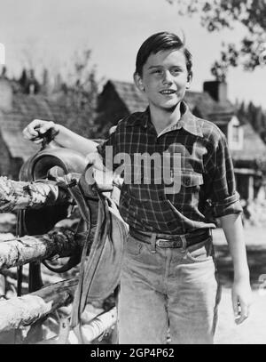 MY FRIEND FLICKA, Roddy McDowall, 1943, TM & Copyright © 20th Century ...