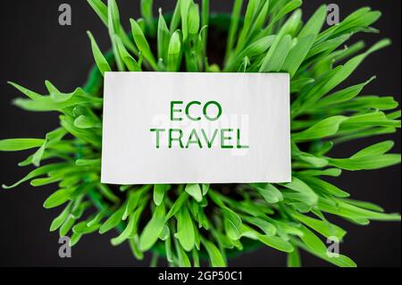 Top view of green grass with text eco travel Stock Photo