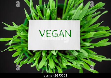Top view of green grass with text vegan Stock Photo
