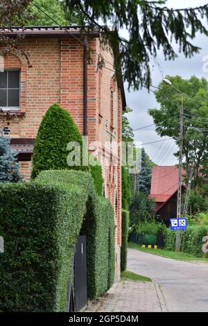 An old brick house overgrown with vines on a new street. House. Stock Photo