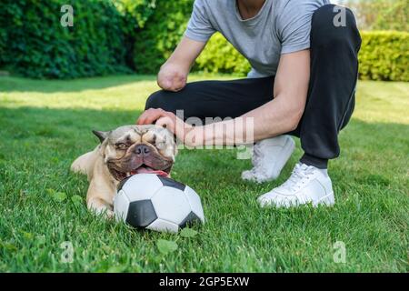 French Bulldog chewing on a soccer ball outside Stock Photo