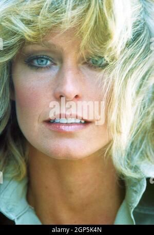 Farrah Fawcett, 1976. / TV Guide / Courtesy Everett Collection Stock