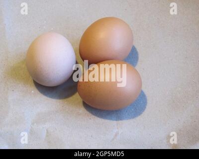 three chicken eggs lying side by side Stock Photo