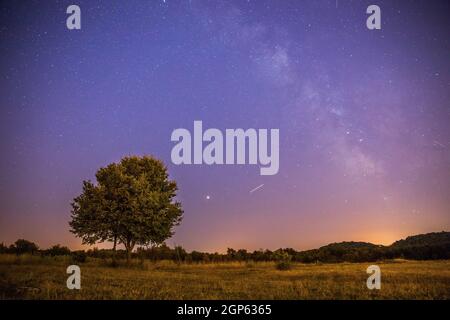 Clear purple sky with stars, lonely field and tree Stock Photo