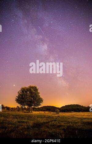 Clear purple sky with stars, lonely field and tree Stock Photo