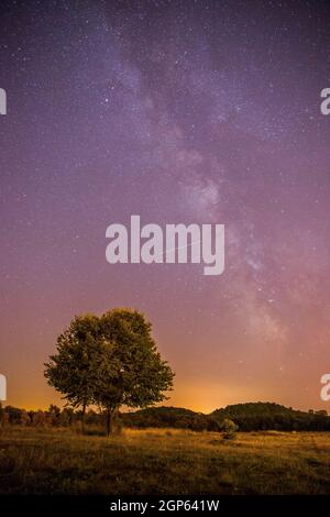 Clear purple sky with stars, lonely field and tree Stock Photo