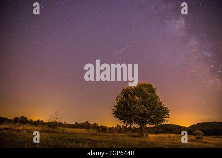 Clear purple sky with stars, lonely field and tree Stock Photo