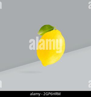 Color of the year Illuminating yellow and Ultimate Gray. Falling down yellow lemons on two-tone background. Stock Photo
