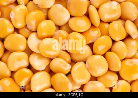 Pickled yellow lupine beans background. Tournus, preserved lupinus. Stock Photo