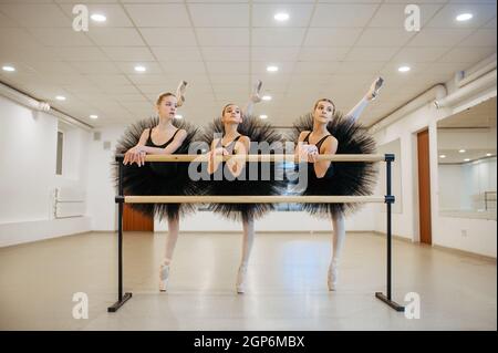 Elegant teen ballerinas poses at the barre in class. Ballet school, female dancers on choreography lesson, girls practicing dance Stock Photo