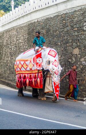 KANDY, SRI LANKA - JULY 19, 2016: Decorated elephant on a street of Kandy during Poya Full Moon holiday. Stock Photo