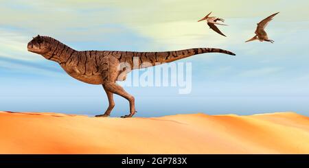 Pteranodon flying reptiles follow a Carnotaurus theropod dinosaur on the hunt for his next prey during the Cretaceous Period. Stock Photo