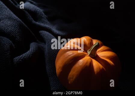 pumpkin in soft light with shadow on dark blue background, mystical background with copy space Stock Photo
