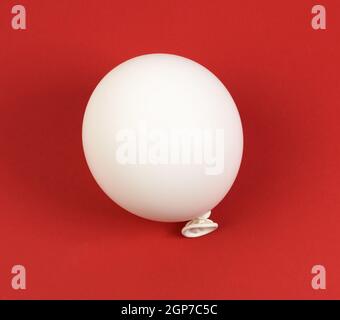 inflated white balloon on a red background, top view Stock Photo