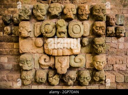 Skull and Tlaloc Sculpture from the Stairs of Temple 16S, Sculpture Museum, Maya City, Copan, Honduras Stock Photo