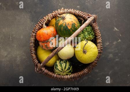 Decorative and edible pumpkins in a wicker basket on a green background, top view, autumn background, copy space Stock Photo