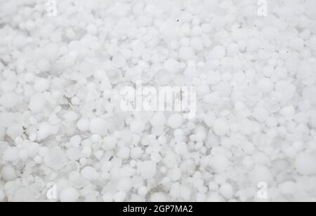 Settled hailstones after a sudden heavy storm. Stock Photo