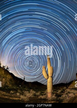 Star trails. Marana, Tortolita Mountains, Arizona. Stock Photo