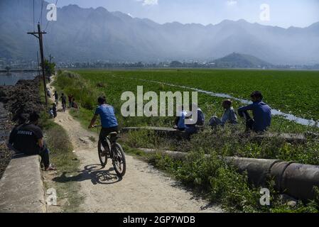 Srinagar, India. 28th Sep, 2021. A cyclist rides his bicycle on bank of Dal Lake during a sunny day in Srinagar. (Photo by Idrees Abbas/SOPA Images/Sipa USA) Credit: Sipa USA/Alamy Live News Stock Photo