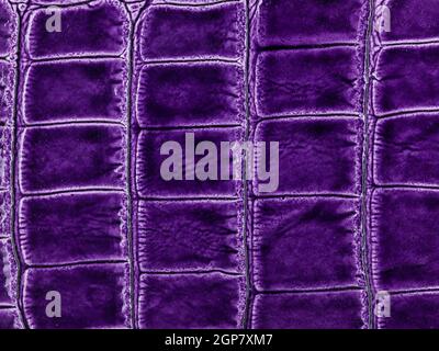 Abstract texture of synthetic leather, purple background. Stock Photo