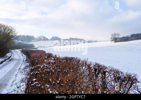 Snow covers the hills of Mundaydean, near Marlow Stock Photo