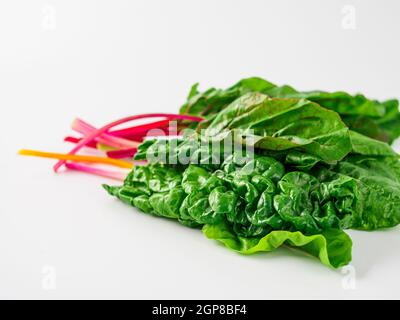 Bunch of swiss chard leafves isolated on white background. Fresh swiss rainbow chard with yellow, red and green colors, side view Stock Photo