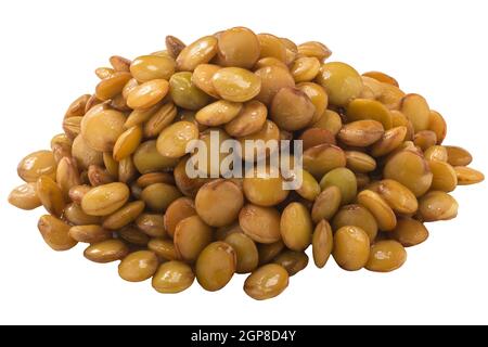 Pile of cooked lentils (Lens culinaris seeds) isolated Stock Photo