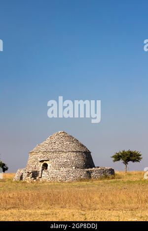 Trulli, typical houses near Castel del Monte, Apulia region, Italy Stock Photo