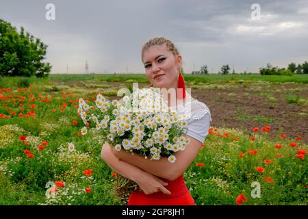 Young girl with a bouquet of daisies in a field. Daisies on a poppy field. Stock Photo