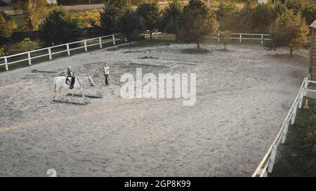 Closeup horseback training aerial top down. Girl sitting on horse. Trainer walk at racecourse. Beagle dogs look at camera. Nature landscape. Equestrianism. Equestrian sports. Recreation vacation Stock Photo