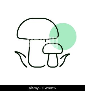 Forest mushrooms with a green grass vector icon. Camping and Hiking sign. Graph symbol for travel and tourism web site and apps design, logo, app, UI Stock Photo