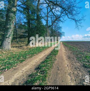 Dirty farm road between a field to the right and trees to the left leading to the empty horizon Stock Photo