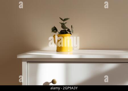 A yellow ceramic jug or vase with eucalyptus branches, empty white photo frames on the white table in the interior with beige walls near window. Stock Photo