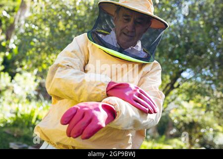 Caucasian senior man wearing rubber gloves and beekeeper uniform Stock Photo