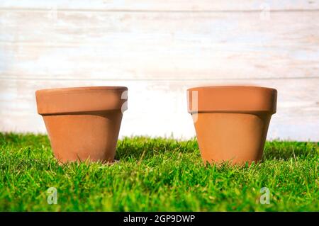 Two Flower pot empty in fresh bright green grass with wooden background for garden,greenery,spring,potting concept background copy space Stock Photo
