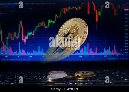 Golden bitcoin flying whit computer trading chart background. Bitcoin and altcoin the most important cryptocurrency concept Stock Photo